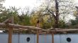 pergola.jpg
